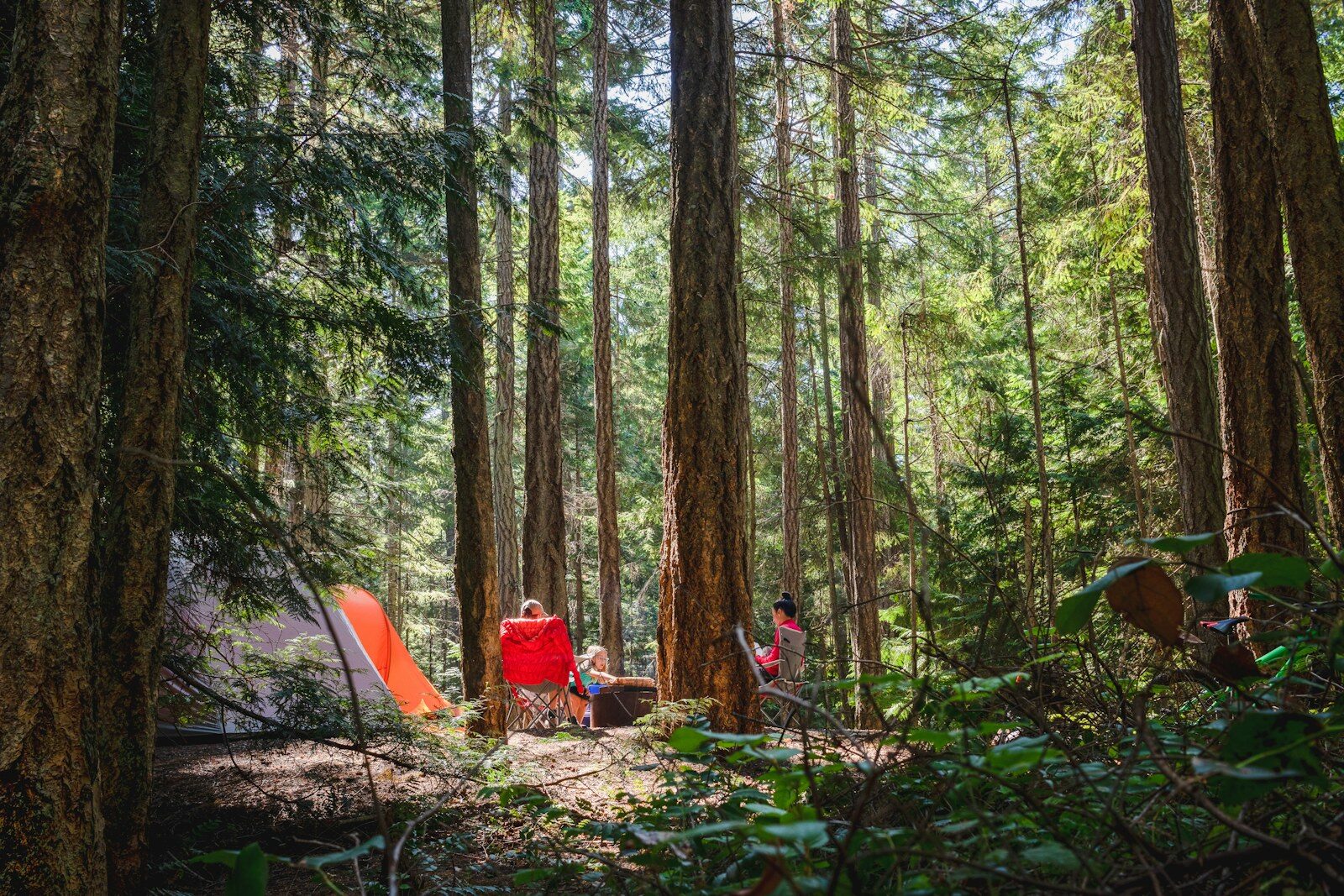 Tält i skogen på ett scoutläger