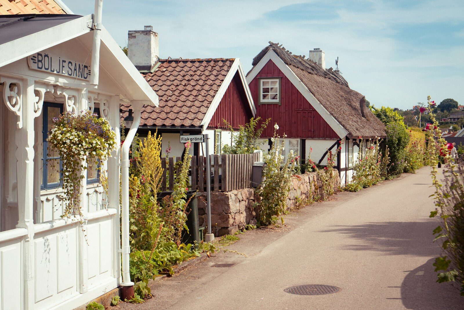 Villagata med vita hus och staket en sommardag